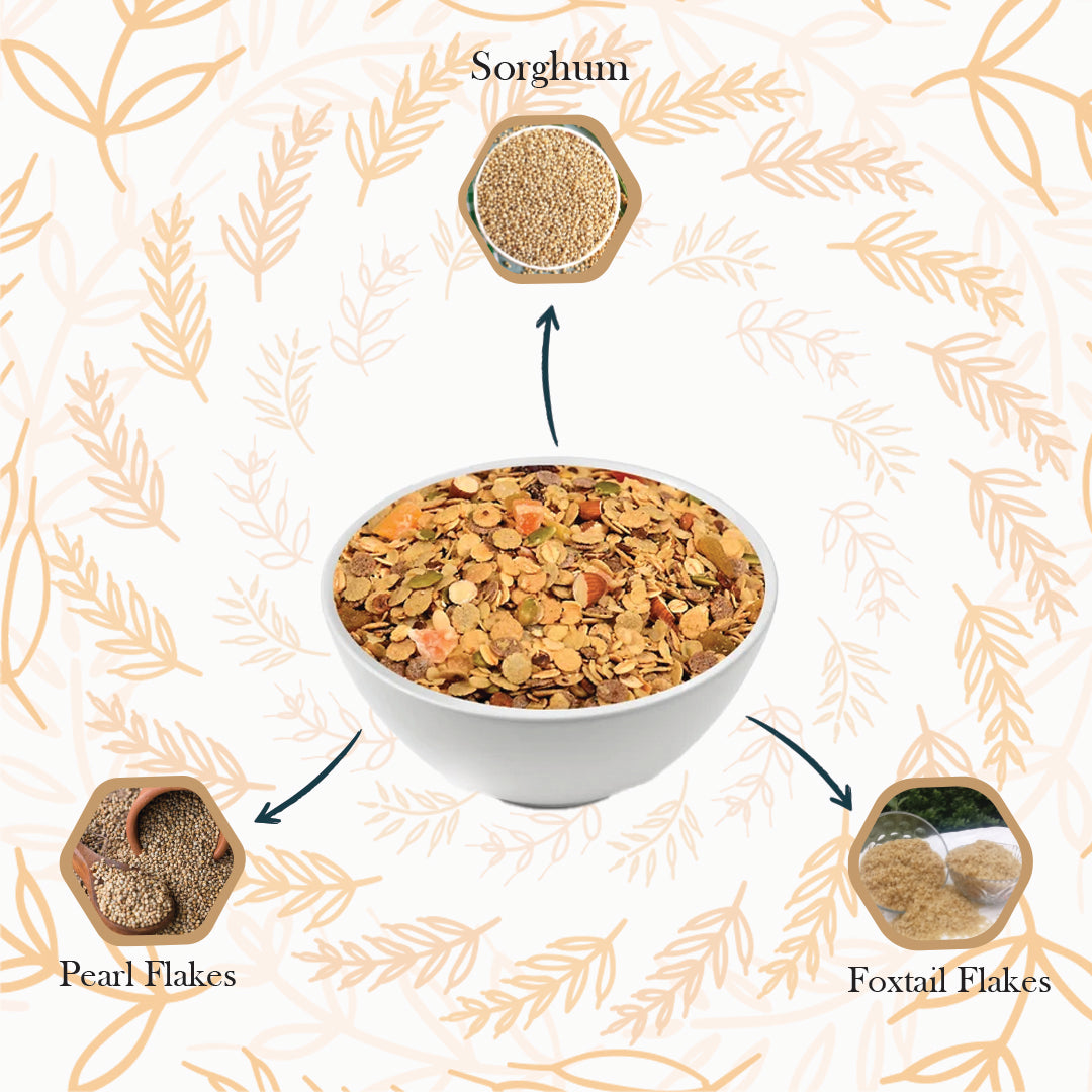 Sorghum Foxtail Millet Pearl Millet